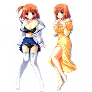 DC 2 Dakimakura Hugging Body Pillow Case N001