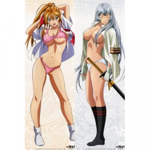 ikkitousen Dakimakura Hugging Body Pillow Cover N089
