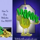 TheWebsiteBuyingGuide E-book
