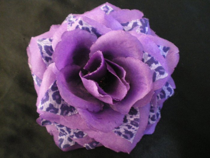 Purple rose with leopard print
