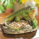 Green Iguana Bird Feeder New