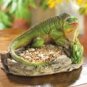 Green Iguana Bird Feeder New