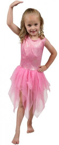Girls Pink Fairy Costume - 2T/4T