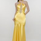 The Newest Celebrity Evening Dress ECD0203