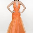 The Newest Celebrity Evening Dress ECD0241