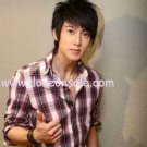 fashion/ non-mainsteam short hair/wig/ Heat wire wig 0007