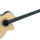 Acoustic/Electric Bass Guitar
