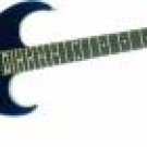 Shredder™ Double Cutaway Electric Guitar	SILVERTONE®