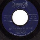 DIMENSION 1003 LITTLE EVA Keep Your  Hands Off My Baby