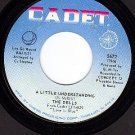 CADET 5672 45 DELLS A Little Understanding/Long Lonely