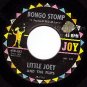 NM JOY 262 LITTLE JOEY AND THE FLIPS Bongo Stomp/Lost