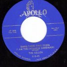 NM APOLLO 510 CELLOS Rang Tang Ding Dong ~ You Took My