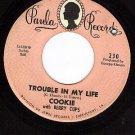 PAULA 230 45 COOKIE with BERRY CUPS Trouble In my Life