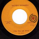 AUTUMN 16 45 BEAU BRUMMELS You Tell Me Why ~ I Want You