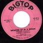BIGTOP 3016 SAMMY TURNER Lavender Blue/Wrapped Up In A