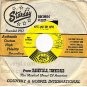 STARDAY 737 45 RED SOVINE Giddyup Go/Kiss And The Keys