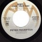 NM AM 1832 PETER FRAMTON Its A Plain Shame/Baby I Love