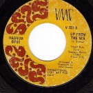 PROMO VMC 737 MAGNUM OPUS Up From The Sea/Nothing But