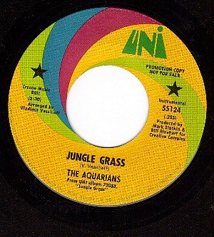 UNI 55124 PROMO THE AQUARIANS ~ Jungle Grass ~ Adela