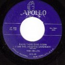 APOLLO 510 CELLOS Rang Tang Ding Dong/You Took My Love