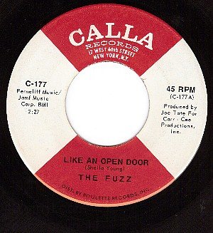 NM CALLA 177 THE FUZZ Like An Open Door ~ Leave It All