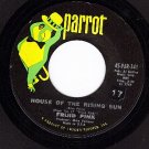 PARROT 341 FRIJID PINK House Of The Rising Sun ~ Drivin