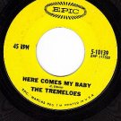 EPIC 10139 TREMELOES Here Comes My Baby ~ Gentleman Of