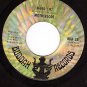 BUDDAH 131 45 rpm MOTHERLODE ~ When I Die ~ Hard Life
