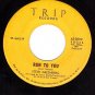 TRIP 3000 45 rpm STEVE GREENBERG Big Bruce ~ Run To You