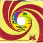 NM UNI 55066 HUGH MASEKELA Grazing In The Grass ~ Bonke