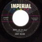 IMPERIAL 5809 SANDY NELSON Drums Are My Beat/The Birth