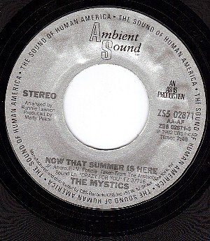NM AMBIENT SOUND 02871 MYSTICS Now That Summer Is Here