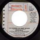 NM 45 MODERN 7336 STEVIE NICKS ~ Stop Draggin My Heart