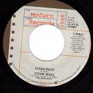 M- 45 MODERN RECORDS STEVIE NICKS ~ Stand Back ~ Garbo