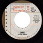 M- 45 MODERN RECORDS STEVIE NICKS ~ Stand Back ~ Garbo