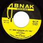 ABNAK 119 JON & ROBIN AND THE IN CROWD ~ Do It Again A