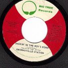 BIG TREE 16011 BROWNSVILLE STATION Smokin In The Boy's