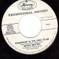 MERCURY 71925 DJ 45 BROOK BENTON Walk On The Wild Side