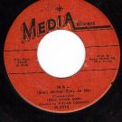 MEDIA 1013 FERKO STRING BAND ~ You Are My Sunshine ~ Ma