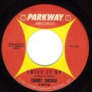 PARKWAY 879 45 CHUBBY CHECKER Twist It Up ~ Surf Party