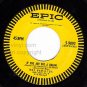 EPIC 5-9092 45 ROY HAMILTON I Believe/If You Are But A