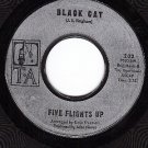 TA 202 FIVE FLIGHTS UP Do What You Wanna Do ~ Black Cat