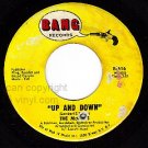 BANG 516 THE MCCOYS Up And Down ~ If You Tell A Lie