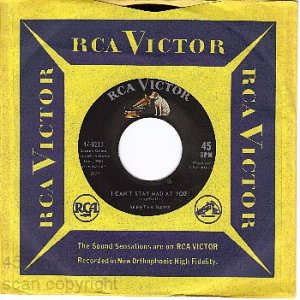 RCA 47-8219 SKEETER DAVIS I Cant Stay Mad At You/It Was