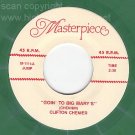 NM 45 GREEN VINYL CLIFTON CHENIER/PERSIANS Mary/Tears