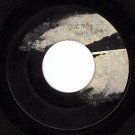 KAPP 45 501X RUBY & THE ROMANTICS One Day Will Come