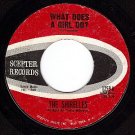 SCEPTER 1259 SHIRELLES What Does A Girl Do/Dont Let It