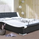 Modern Black & White leather Devis Platform Bed (Queen Size)