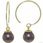DD-2866Y: 14K. GOLD CIRCLE WIRE EARRING WITH DANGLING BLACK PEARL
