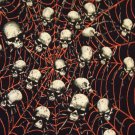 Spider web / skull tee